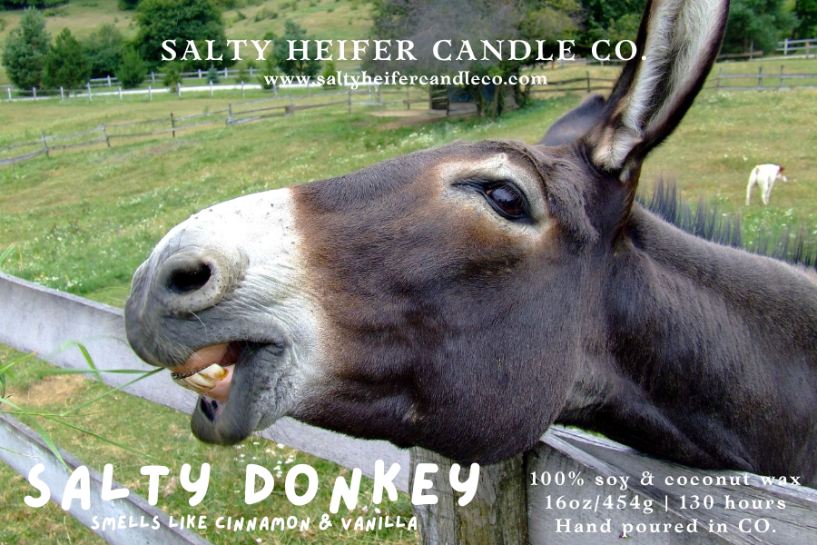 Salty Donkey Candle 12oz