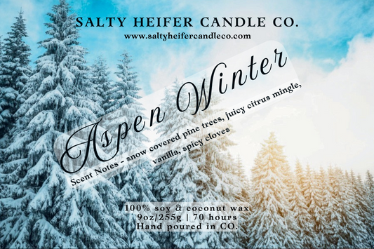 Aspen Winter Candle