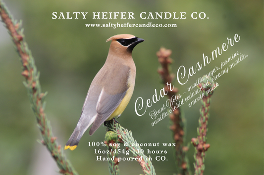 Cedar Cashmere Candle